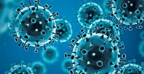 Улсын хэмжээнд 41 хүн коронавирусээр халдварлажээ