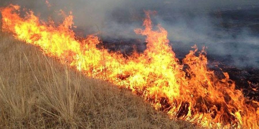 Он гарсаар 49 удаагийн ой, хээрийн гал түймэр бүртгэгдсэн байна