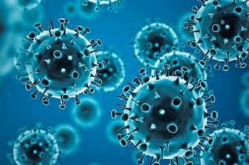 Сүүлийн 24 цагт 81 коронавируст халдварын 81 тохиолдол шинээр батлагдсэн байна