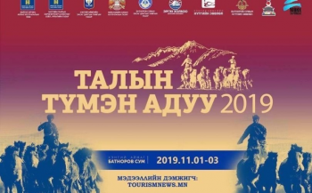 "Талын түмэн адуу-2019" адуу дагасан соёлыг таниулна